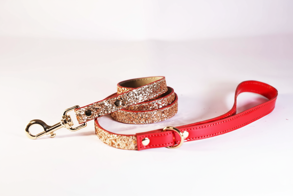 The Celebration Leash