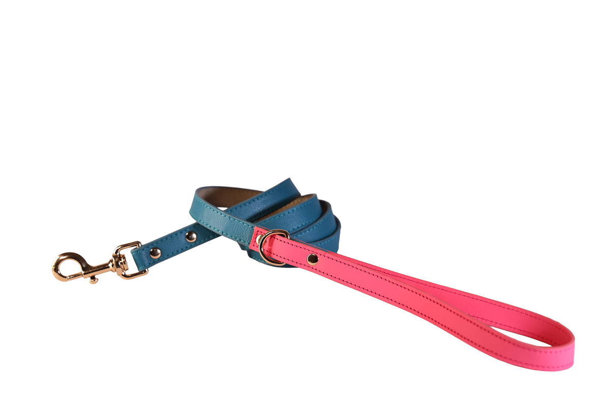 The Soho Leash
