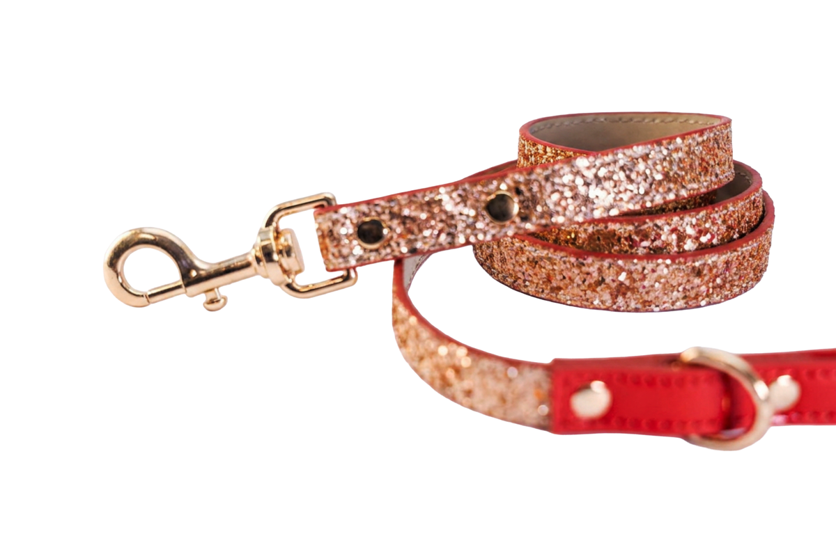 The Celebration Leash