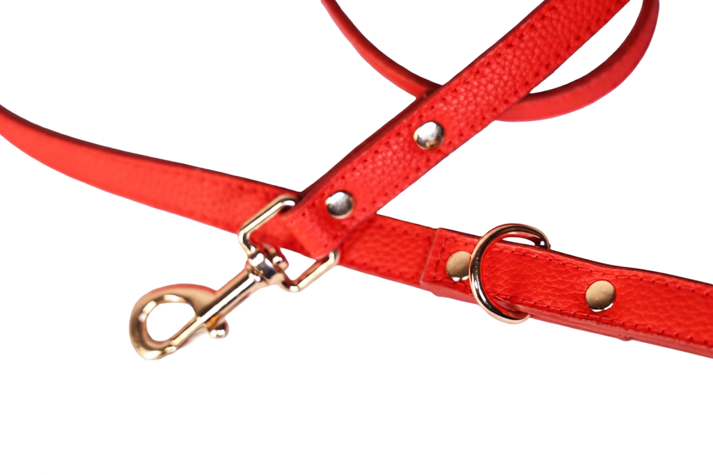 The Crimson Leash