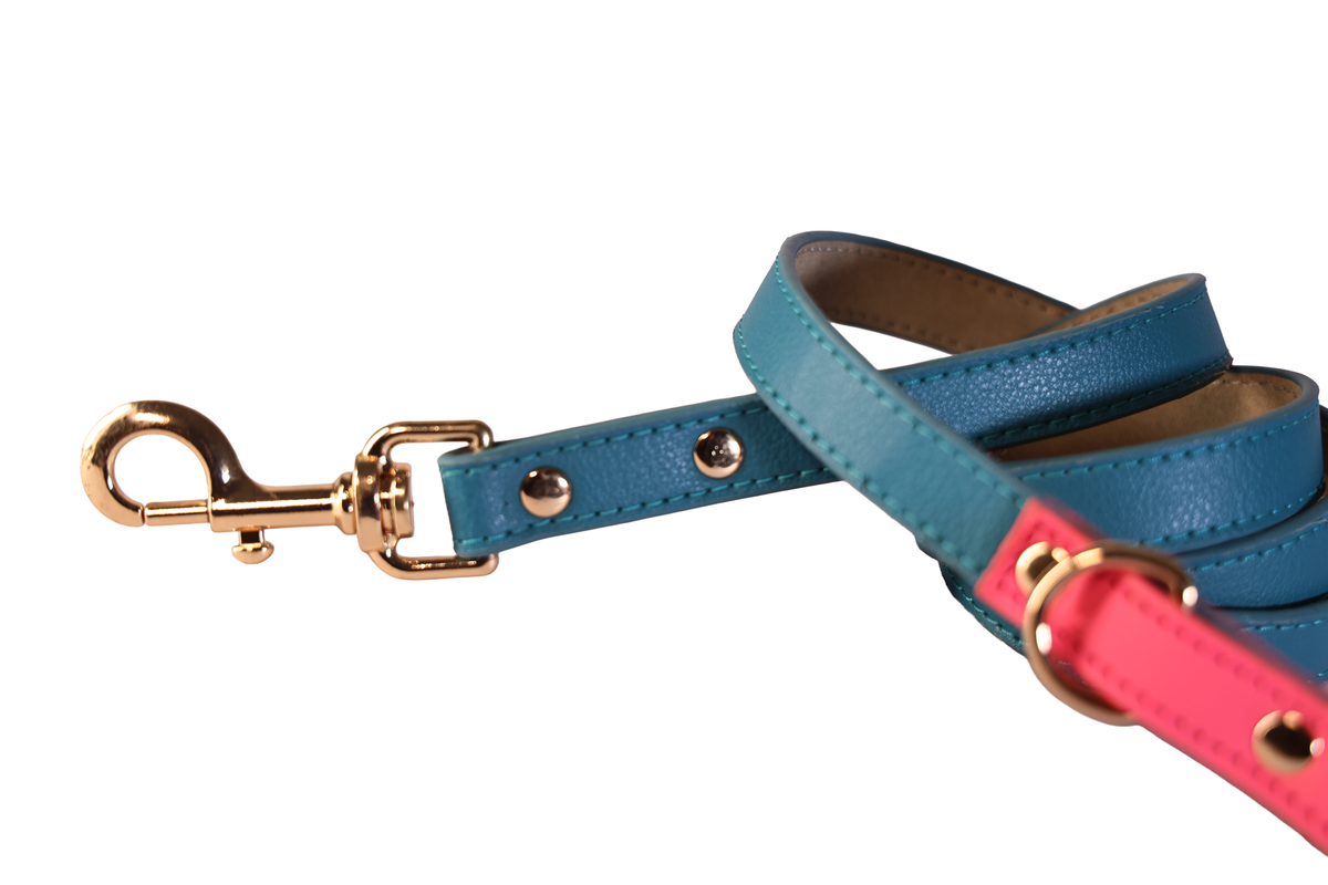 The Soho Leash