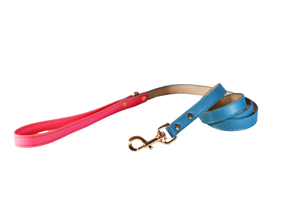The Soho Leash