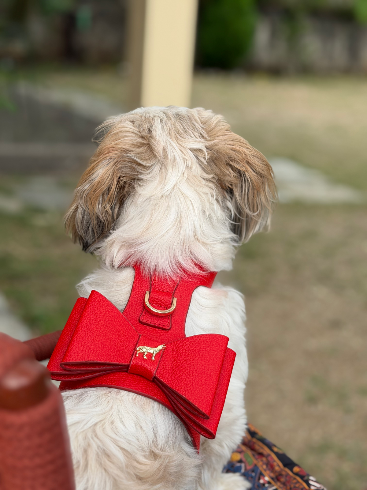 The Crimson Harness
