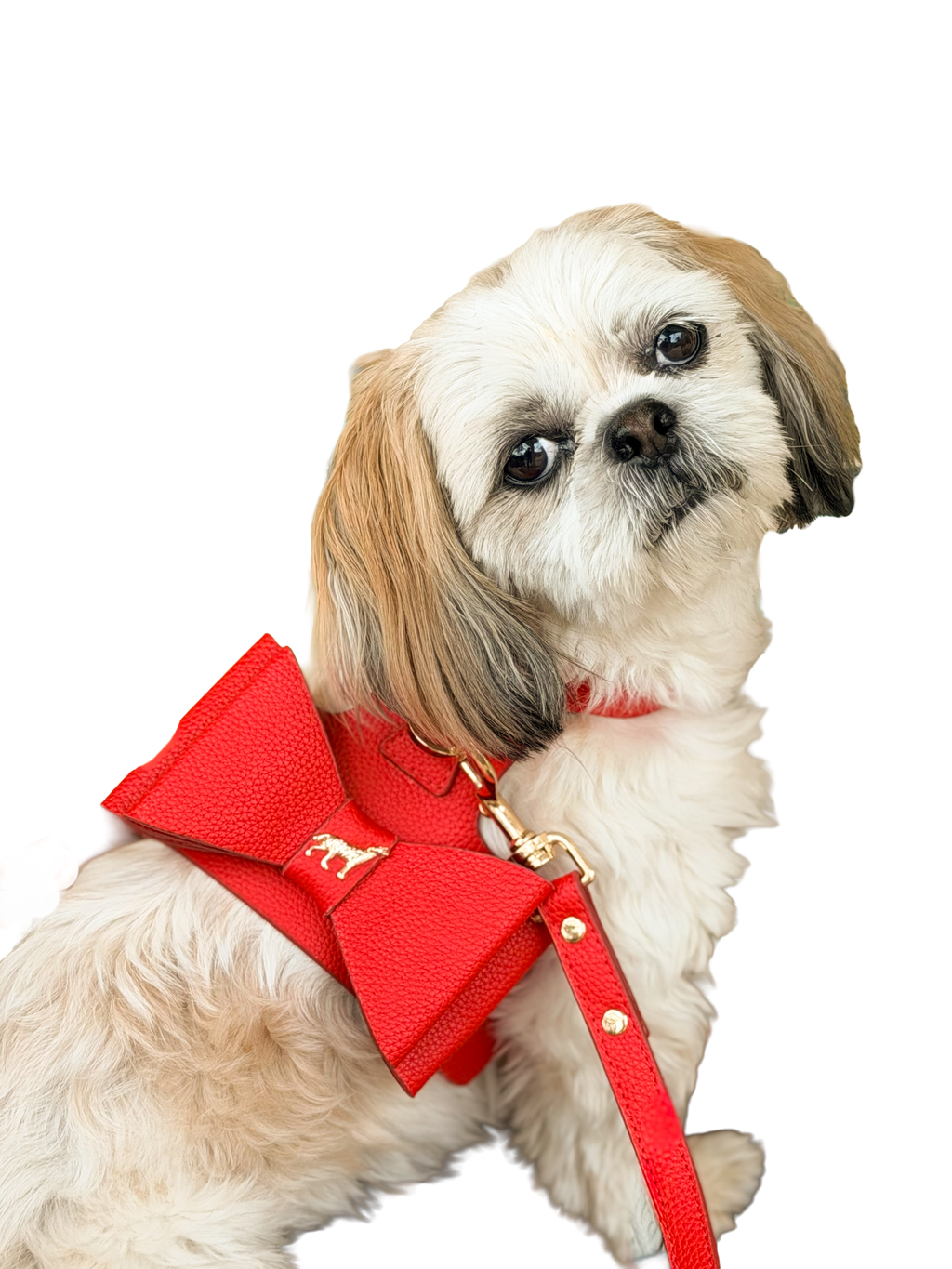 The Crimson Leash