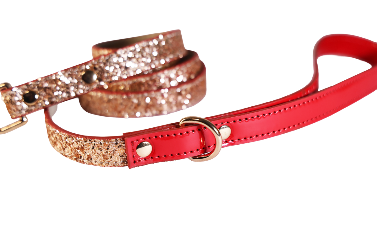 The Celebration Leash