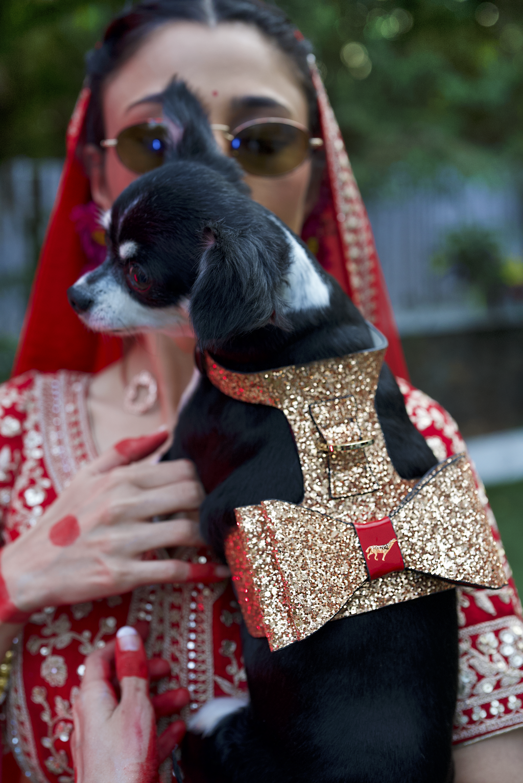 The Celebration Harness