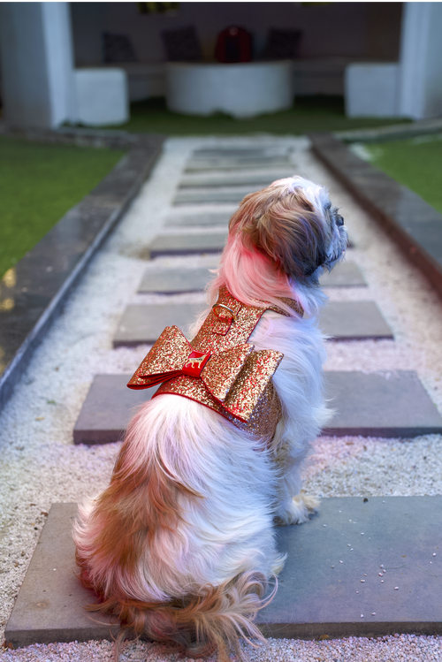 The Celebration Harness