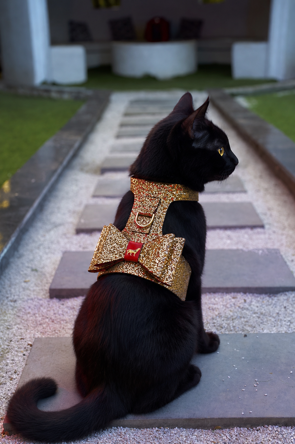 The Celebration Harness