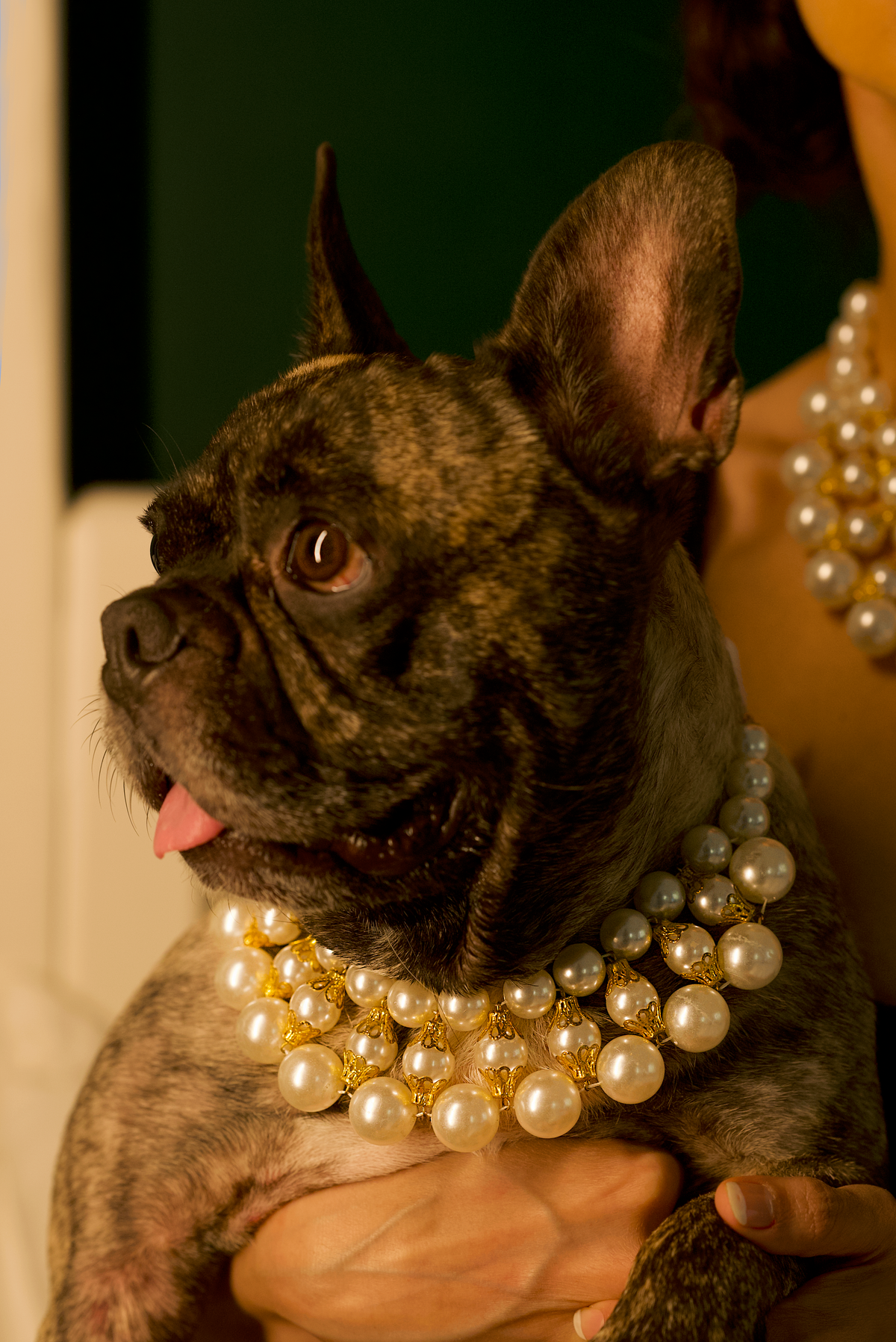 The HOH Necklace