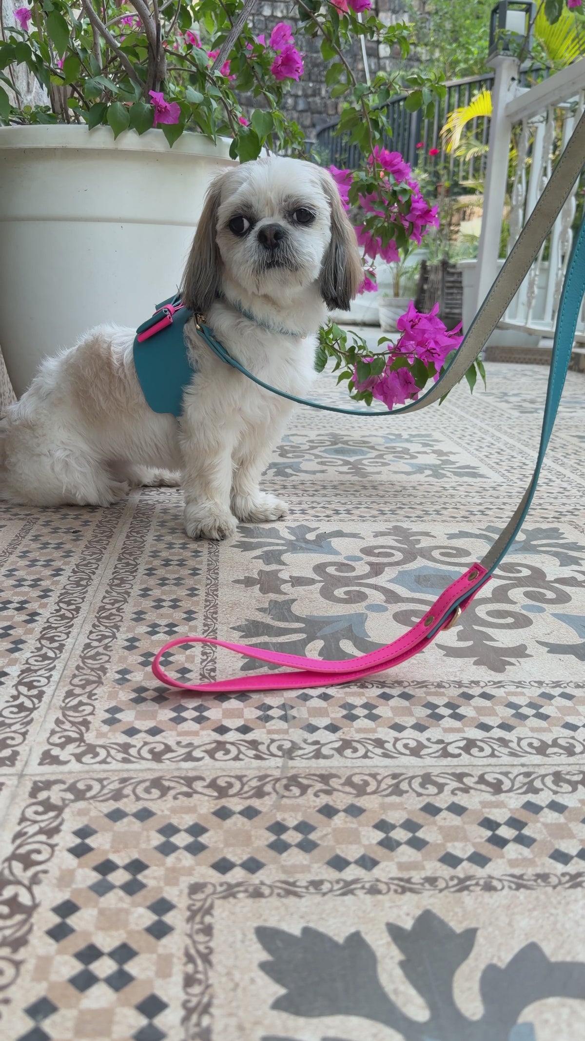 The Soho Bow Harness