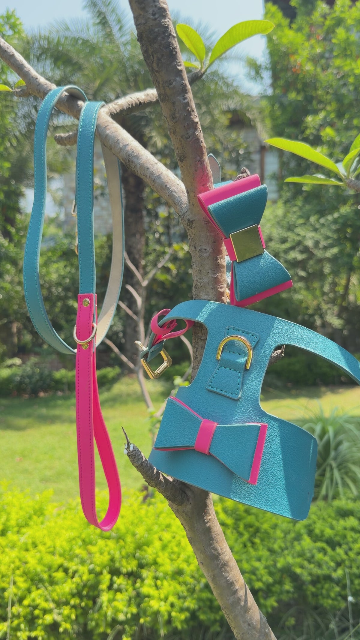 The Soho Bow Leash